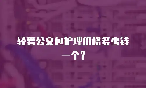 轻奢公文包护理价格多少钱一个？