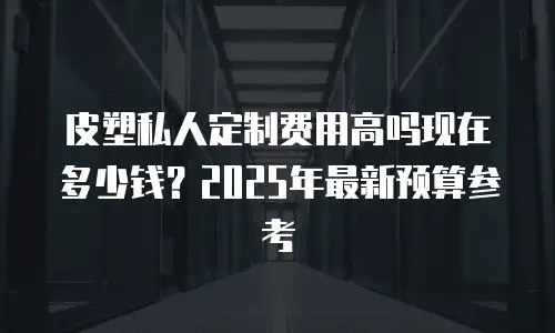 皮塑私人定制费用高吗现在多少钱？2025年最新预算参考