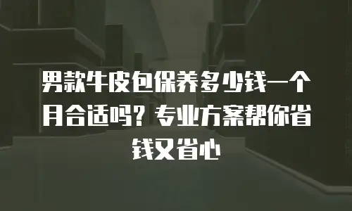 男款牛皮包保养多少钱一个月合适吗？专业方案帮你省钱又省心