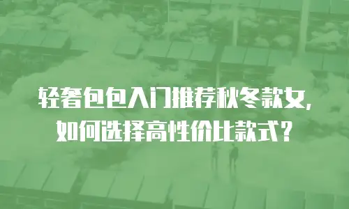 轻奢包包入门推荐秋冬款女，如何选择高性价比款式？