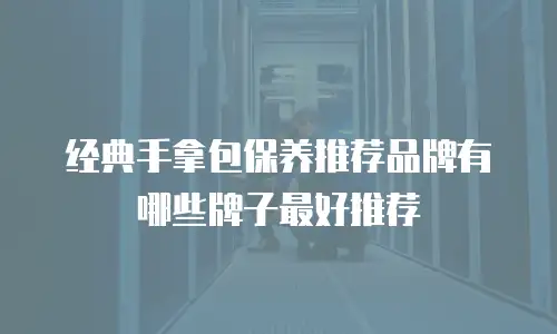 经典手拿包保养推荐品牌有哪些牌子最好推荐