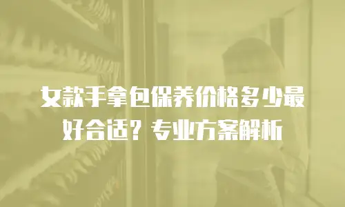 女款手拿包保养价格多少最好合适？专业方案解析
