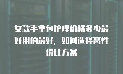 女款手拿包护理价格多少最好用的最好，如何选择高性价比方案
