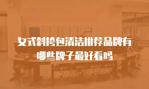 女式斜挎包清洁推荐品牌有哪些牌子最好看吗