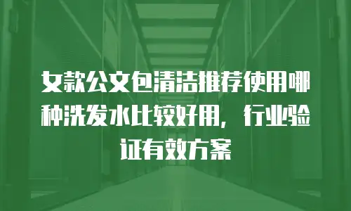 女款公文包清洁推荐使用哪种洗发水比较好用，行业验证有效方案