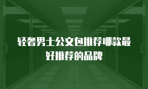 轻奢男士公文包推荐哪款最好推荐的品牌