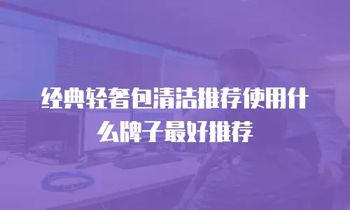 经典轻奢包清洁推荐使用什么牌子最好推荐