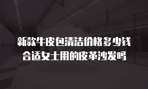 新款牛皮包清洁价格多少钱合适女士用的皮革沙发吗