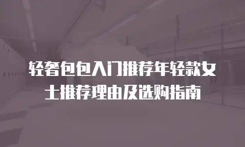 轻奢包包入门推荐年轻款女士推荐理由及选购指南