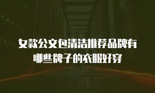 女款公文包清洁推荐品牌有哪些牌子的衣服好穿