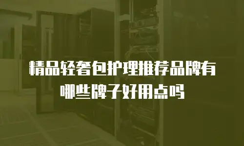 精品轻奢包护理推荐品牌有哪些牌子好用点吗