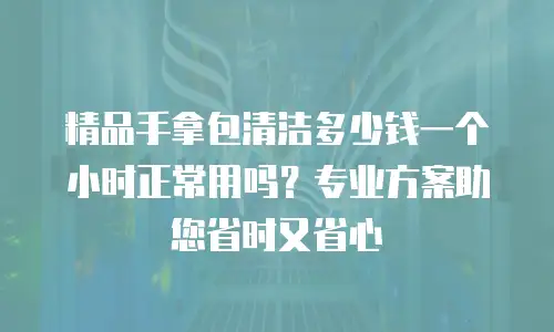 精品手拿包清洁多少钱一个小时正常用吗？专业方案助您省时又省心