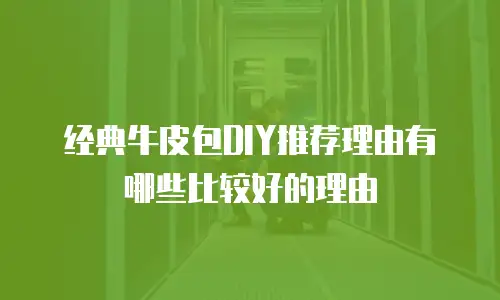 经典牛皮包DIY推荐理由有哪些比较好的理由