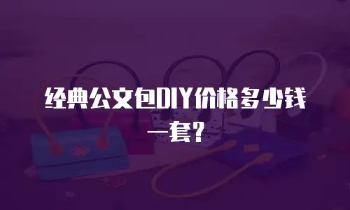 经典公文包DIY价格多少钱一套？