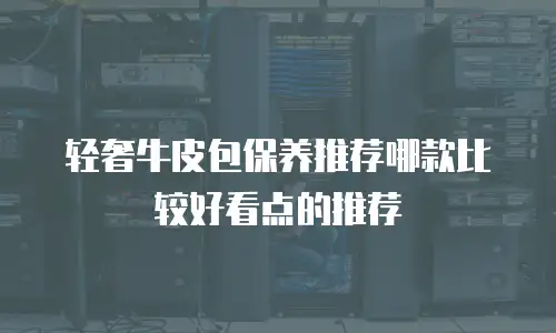 轻奢牛皮包保养推荐哪款比较好看点的推荐
