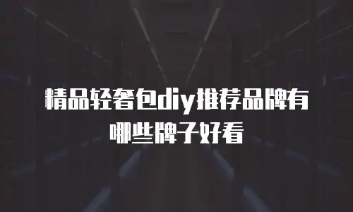 精品轻奢包diy推荐品牌有哪些牌子好看