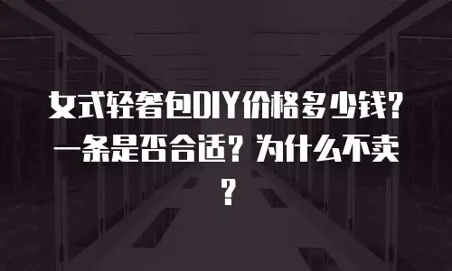 女式轻奢包DIY价格多少钱？一条是否合适？为什么不卖？