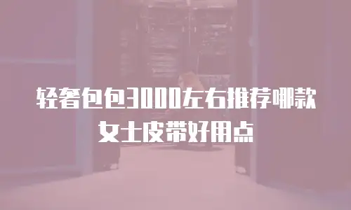 轻奢包包3000左右推荐哪款女士皮带好用点