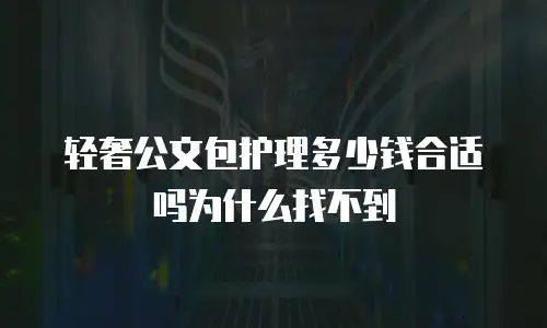 轻奢公文包护理多少钱合适吗为什么找不到