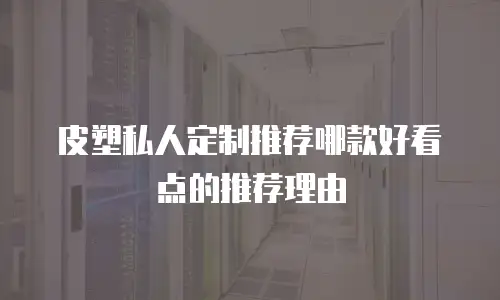 皮塑私人定制推荐哪款好看点的推荐理由