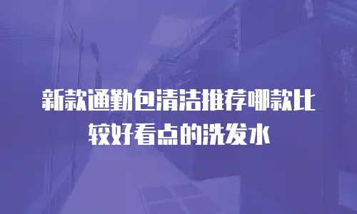 新款通勤包清洁推荐哪款比较好看点的洗发水