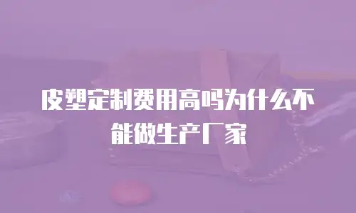 皮塑定制费用高吗为什么不能做生产厂家