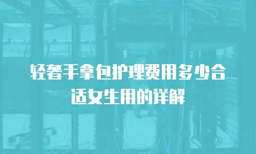 轻奢手拿包护理费用多少合适女生用的详解