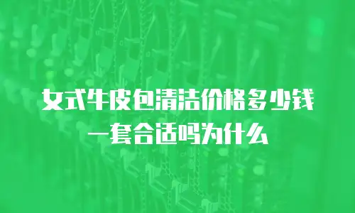 女式牛皮包清洁价格多少钱一套合适吗为什么