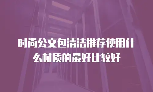 时尚公文包清洁推荐使用什么材质的最好比较好