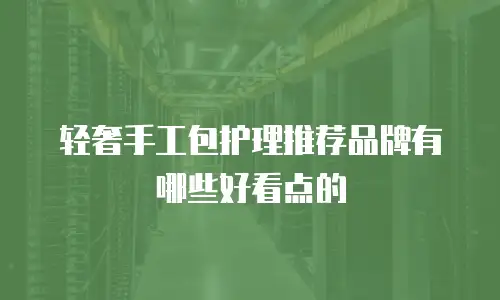 轻奢手工包护理推荐品牌有哪些好看点的