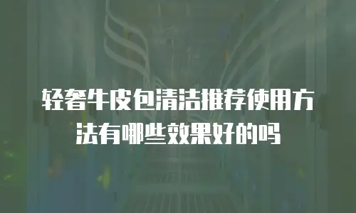 轻奢牛皮包清洁推荐使用方法有哪些效果好的吗