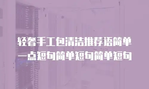 轻奢手工包清洁推荐语简单一点短句简单短句简单短句