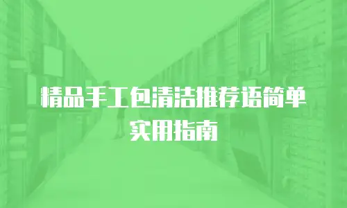 精品手工包清洁推荐语简单实用指南