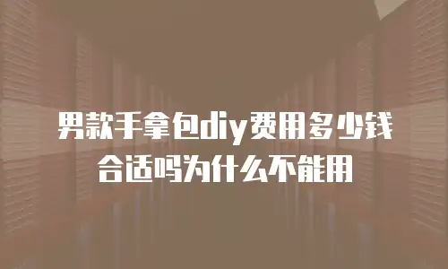 男款手拿包diy费用多少钱合适吗为什么不能用
