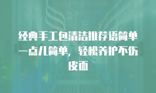 经典手工包清洁推荐语简单一点儿简单，轻松养护不伤皮面