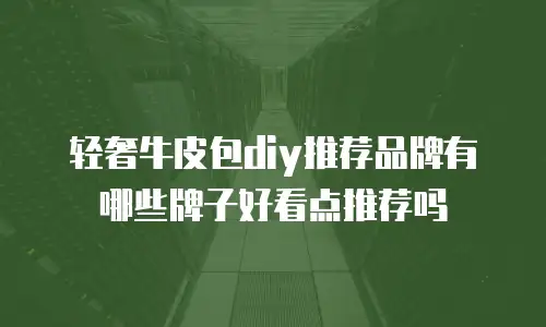 轻奢牛皮包diy推荐品牌有哪些牌子好看点推荐吗