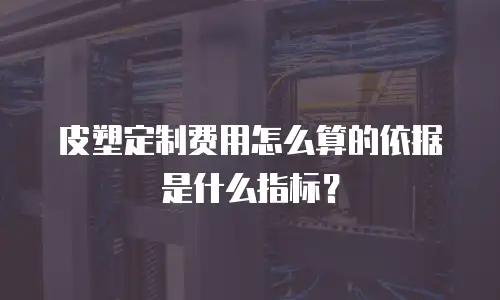 皮塑定制费用怎么算的依据是什么指标？