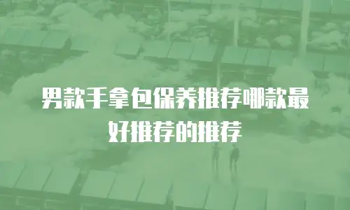 男款手拿包保养推荐哪款最好推荐的推荐
