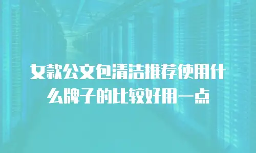 女款公文包清洁推荐使用什么牌子的比较好用一点