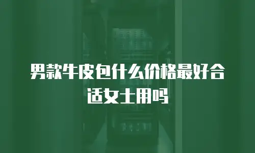 男款牛皮包什么价格最好合适女士用吗