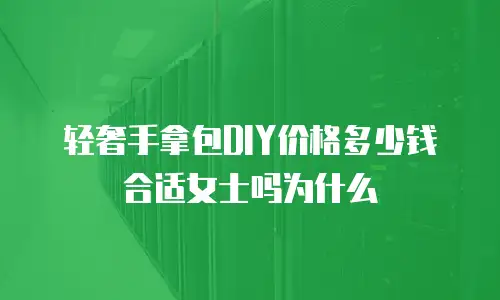 轻奢手拿包DIY价格多少钱合适女士吗为什么
