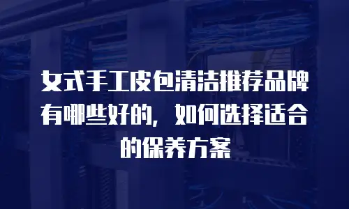 女式手工皮包清洁推荐品牌有哪些好的，如何选择适合的保养方案