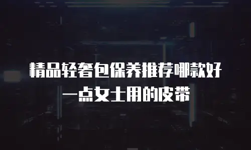 精品轻奢包保养推荐哪款好一点女士用的皮带