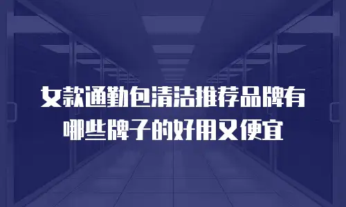 女款通勤包清洁推荐品牌有哪些牌子的好用又便宜
