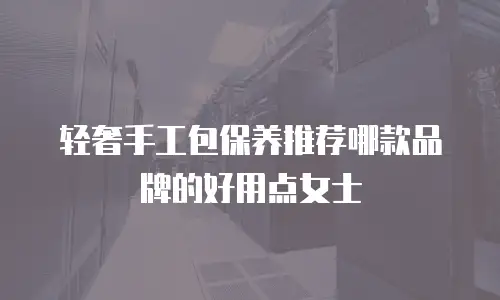轻奢手工包保养推荐哪款品牌的好用点女士