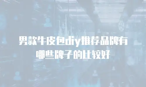 男款牛皮包diy推荐品牌有哪些牌子的比较好