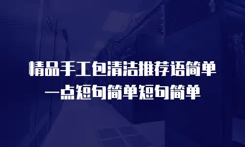 精品手工包清洁推荐语简单一点短句简单短句简单