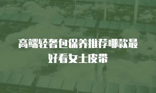 高端轻奢包保养推荐哪款最好看女士皮带