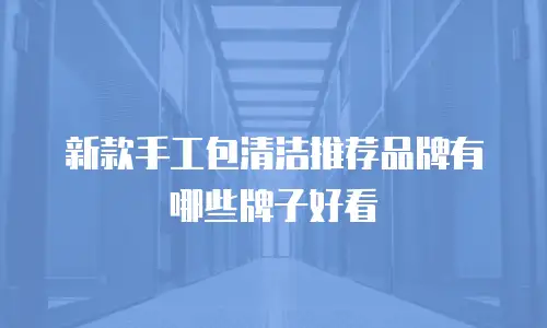 新款手工包清洁推荐品牌有哪些牌子好看
