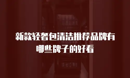 新款轻奢包清洁推荐品牌有哪些牌子的好看